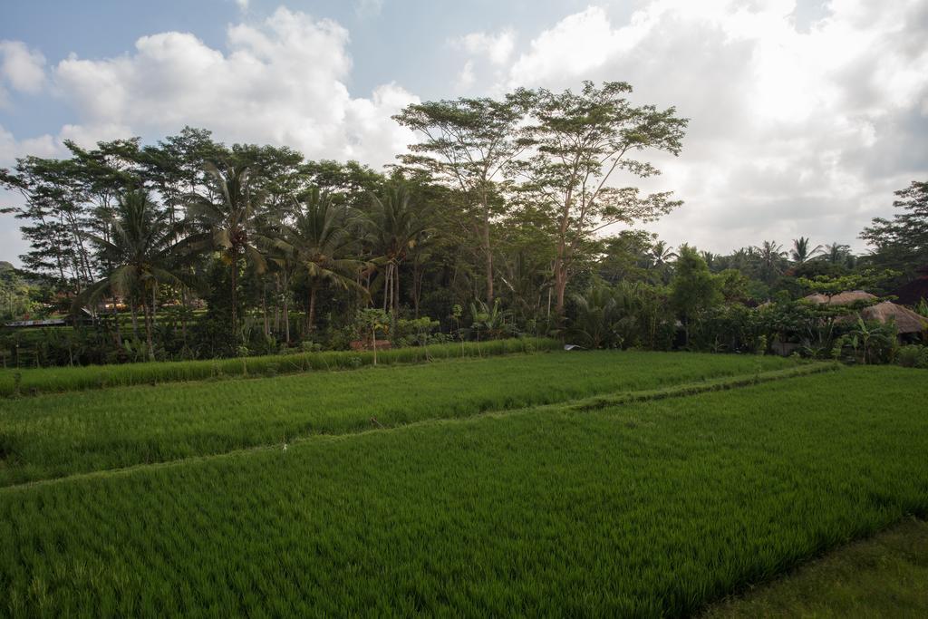 Alosta Luxury Private Villa Ubud  Exterior photo